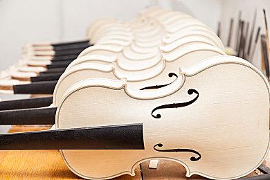 心理恐怖游戏《Project Songbird》Steam页面开放 发售日待定